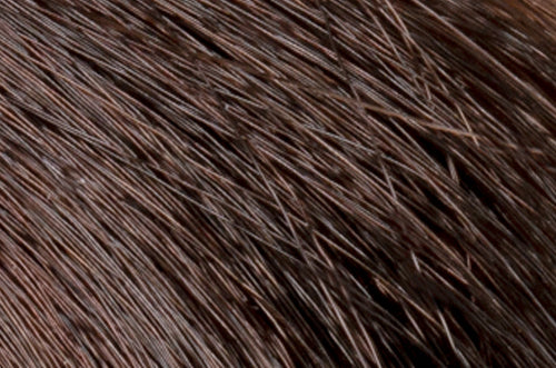 Faction8 Permanent Haircolor 2 oz