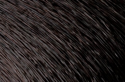 Faction8 Permanent Haircolor 2 oz