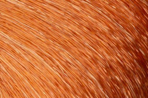 Faction8 Permanent Haircolor 2 oz
