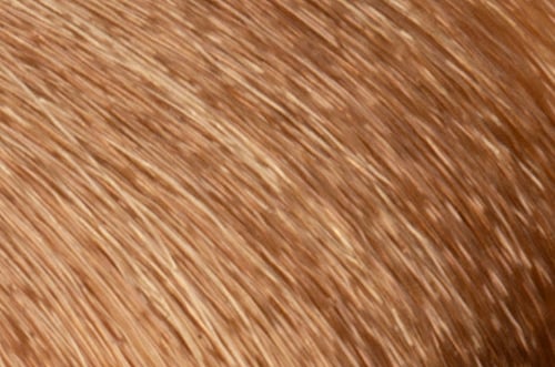 Faction8 Permanent Haircolor 2 oz