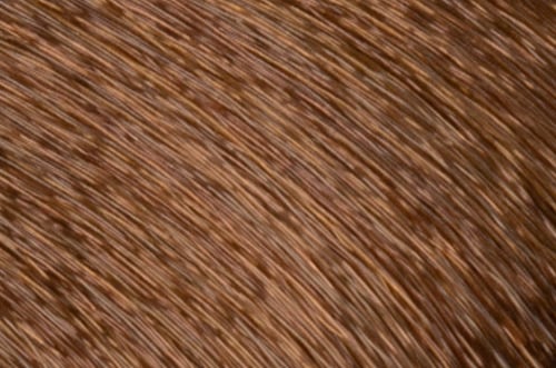 Faction8 Permanent Haircolor 2 oz