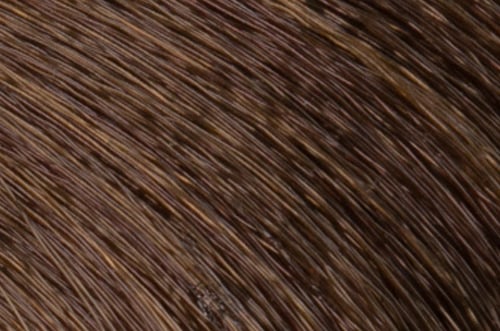 Faction8 Permanent Haircolor 2 oz