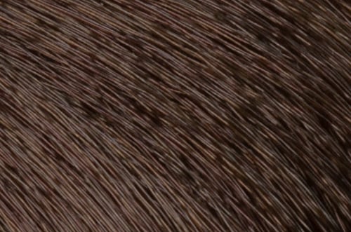 Faction8 Permanent Haircolor 2 oz