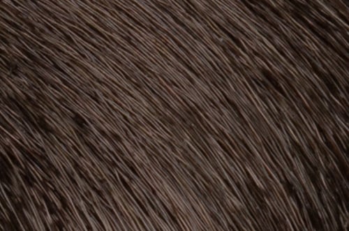 Faction8 Permanent Haircolor 2 oz