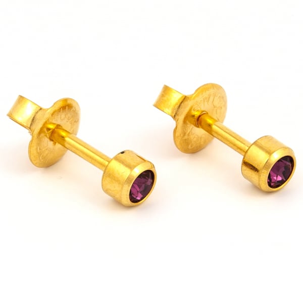 Studex Gold Plated Bezel Set Birthstone Earrings