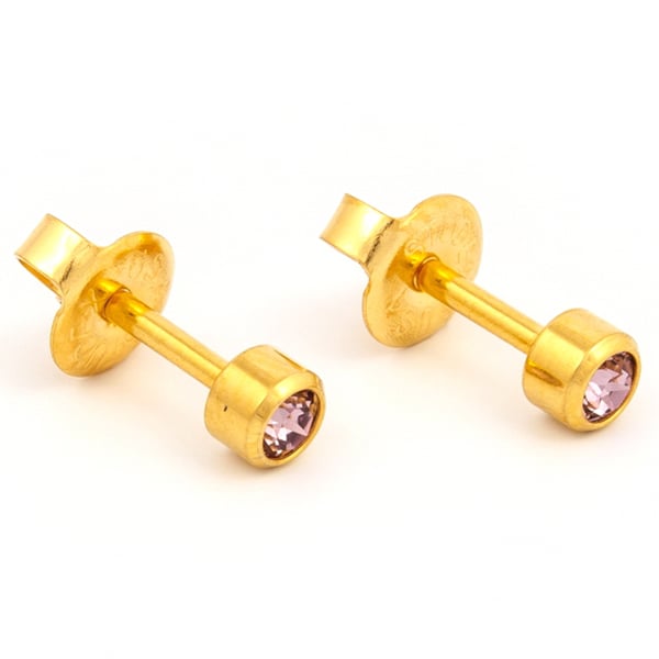 Studex Gold Plated Bezel Set Birthstone Earrings