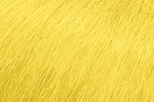 SoColor Cult Semi-Permanent Color 4oz