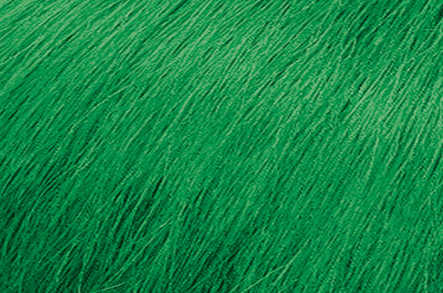 SoColor Cult Semi-Permanent Color 4oz