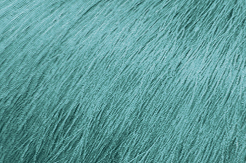 SoColor Cult Semi-Permanent Color 4oz