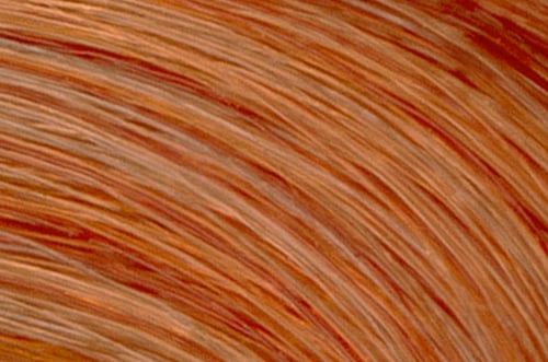 Faction8 Permanent Haircolor 2 oz