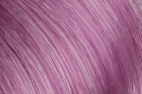 Faction8 Permanent Haircolor 2 oz