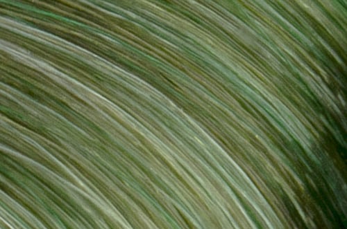 Faction8 Permanent Haircolor 2 oz