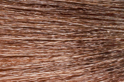 Demi-Permanent Liquid Color 2 oz