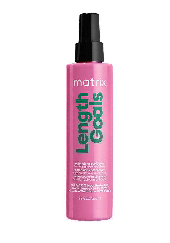 Length Goals Extensions Perfector Multi-Benefit Styling Spray