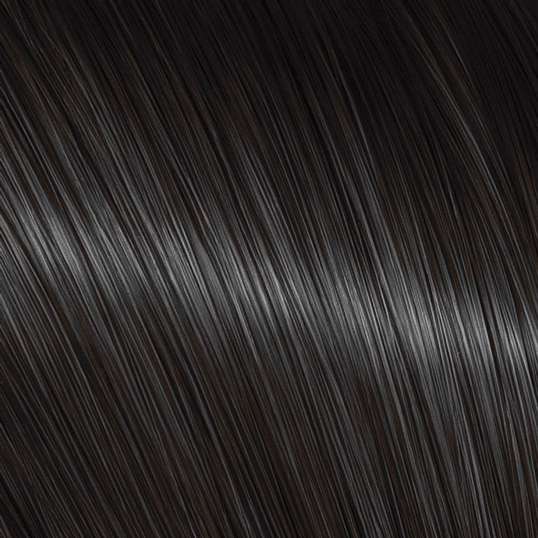 The Present Time Colors