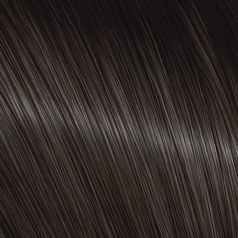 The Present Time Colors