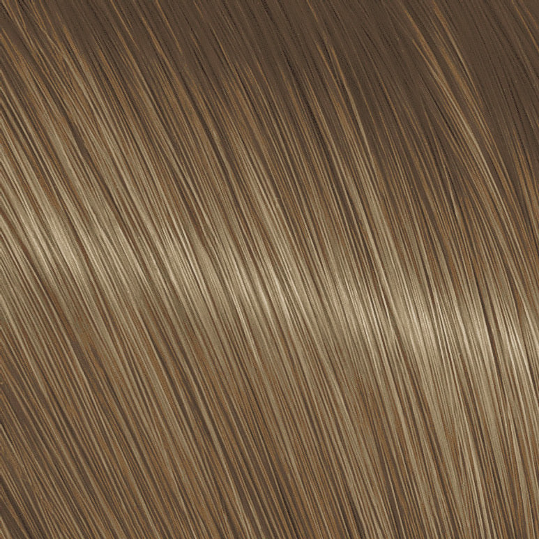 The Present Time Colors