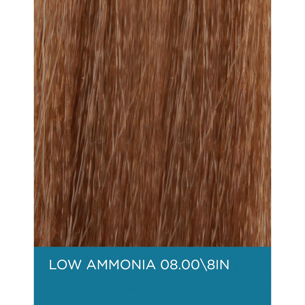 EuforaColor 8.00 / 8IN - Light Intense Natural Blonde - Low Ammonia