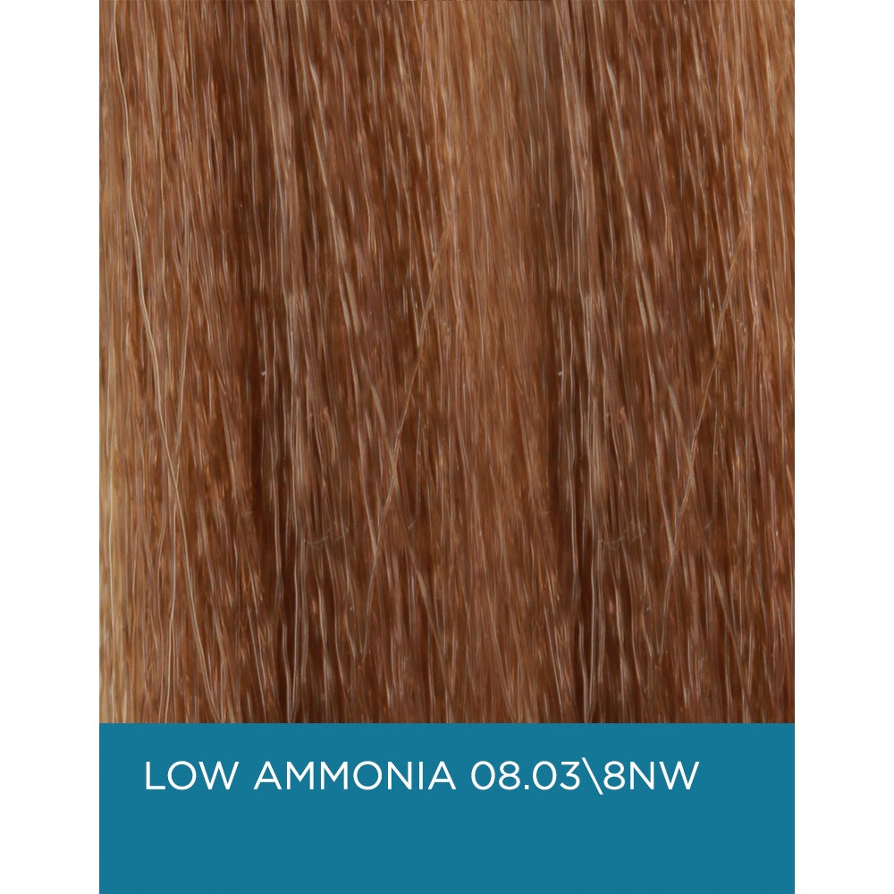 EuforaColor 8.03 / 8NW - Light Natural Warm Blonde - Low Ammonia