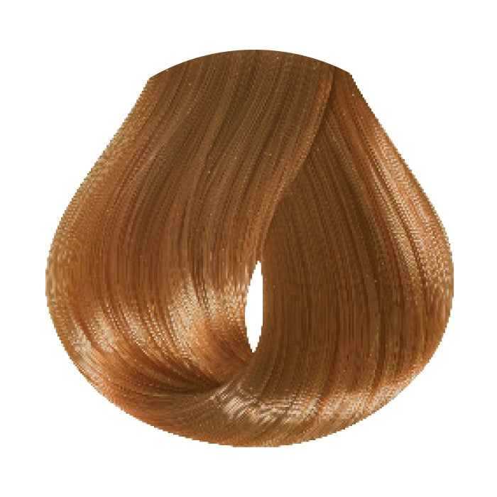 Buy: 6 Hue.verse Shades, Get: Developer free