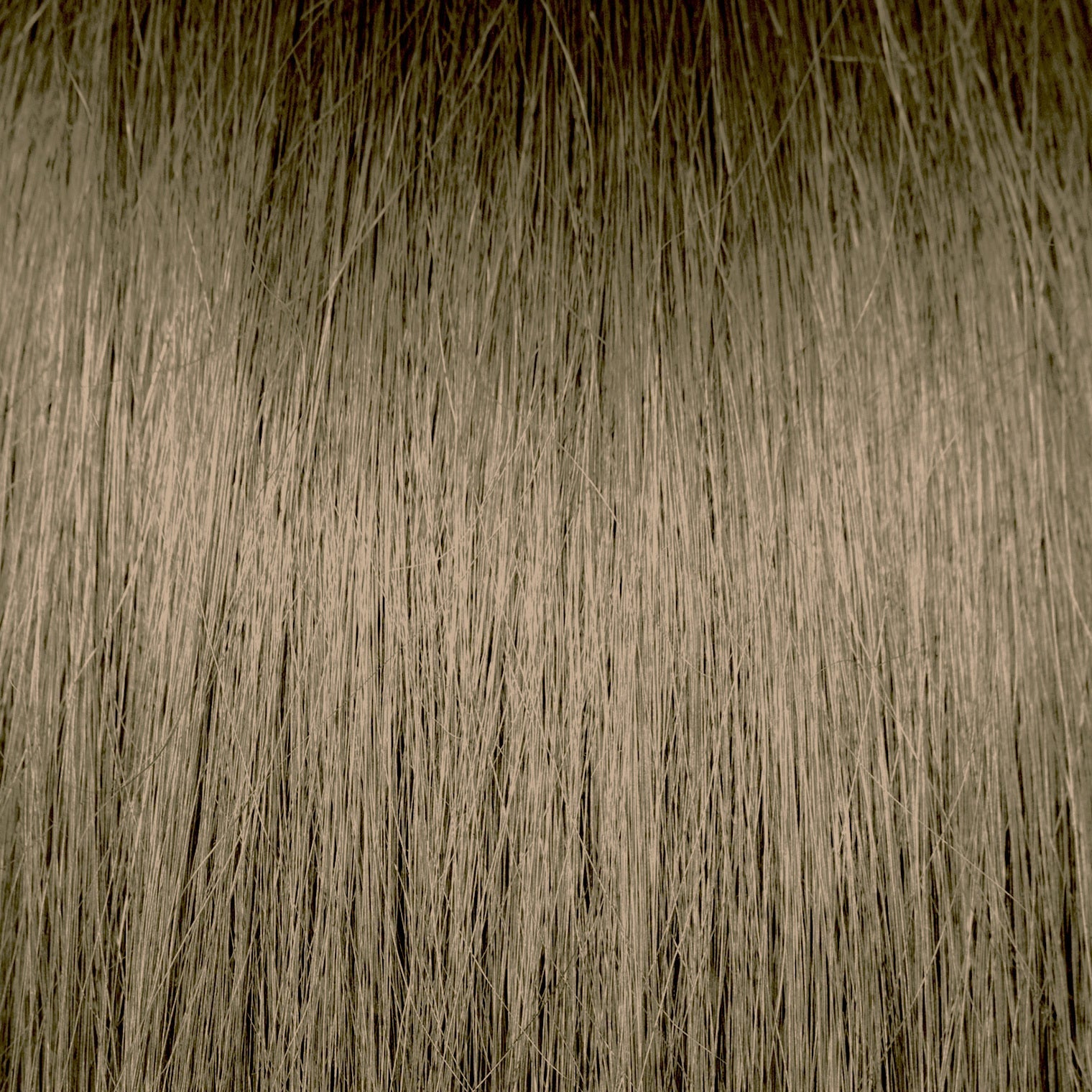 Chromasilk HydraGloss