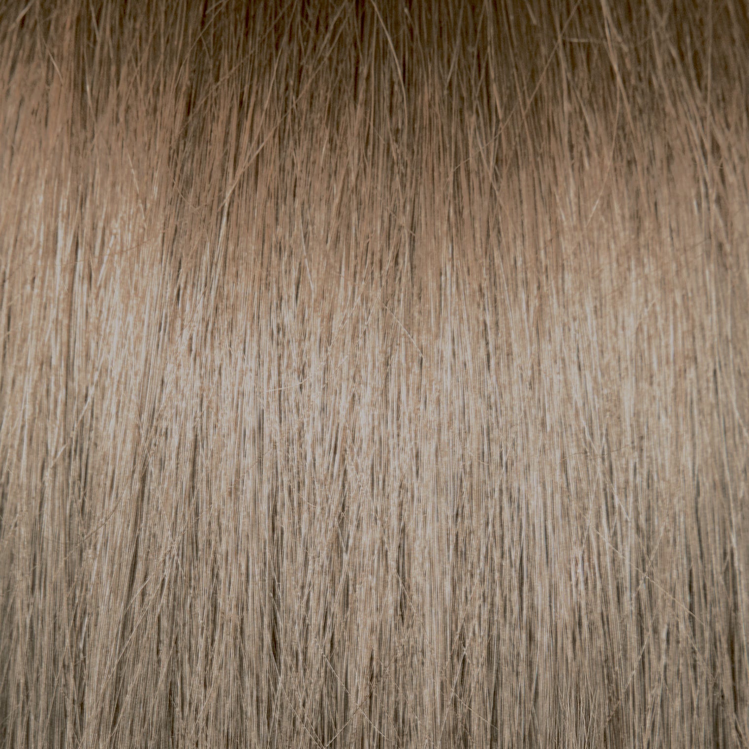 Chromasilk HydraGloss