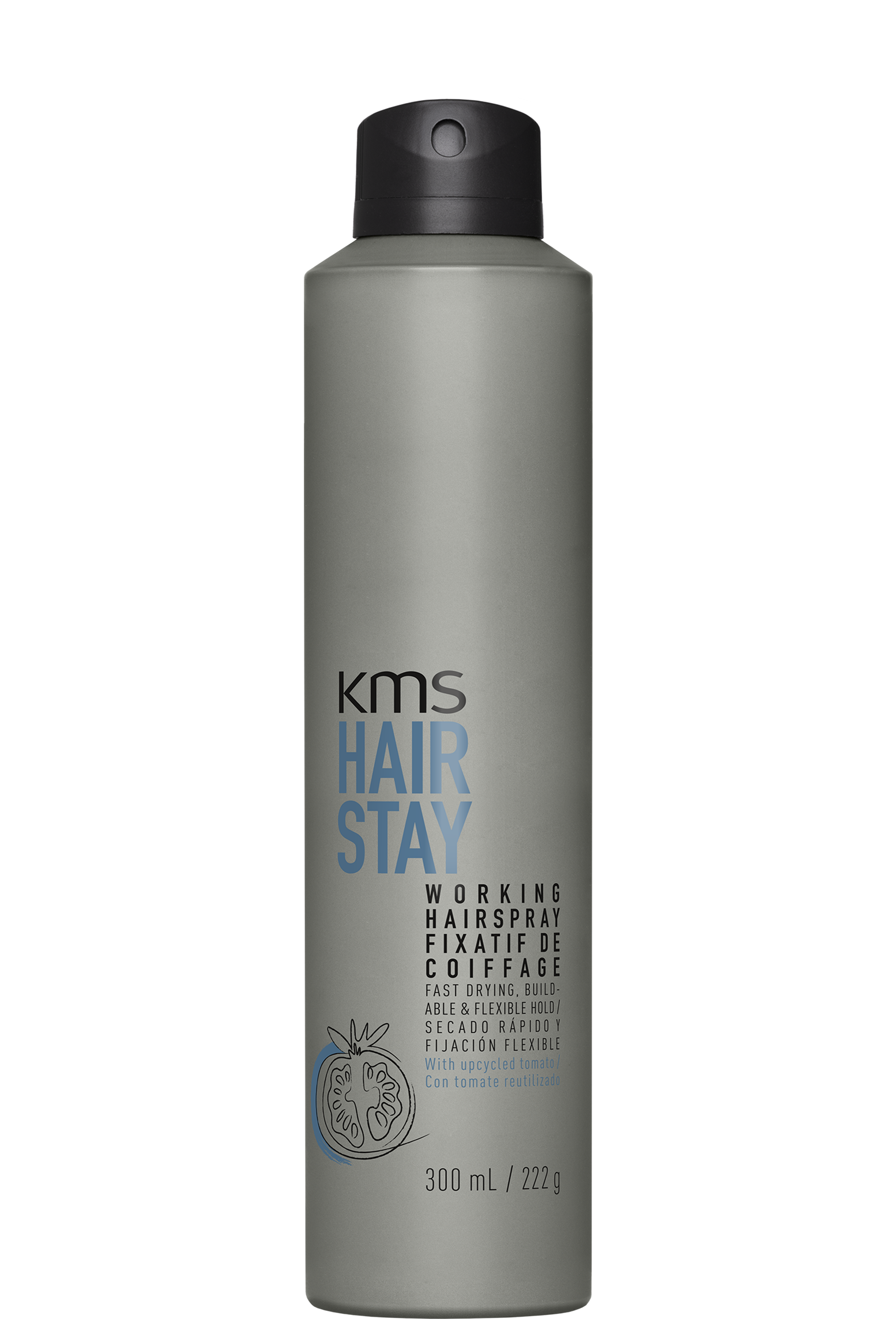 HairStay Firm Finishing Spray
