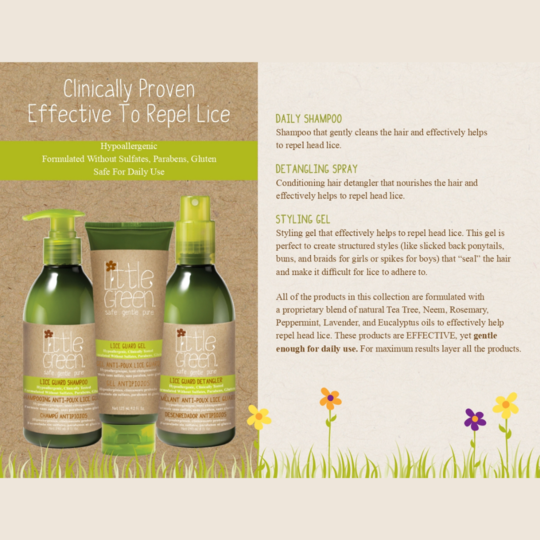 Little Green Lice Brochure