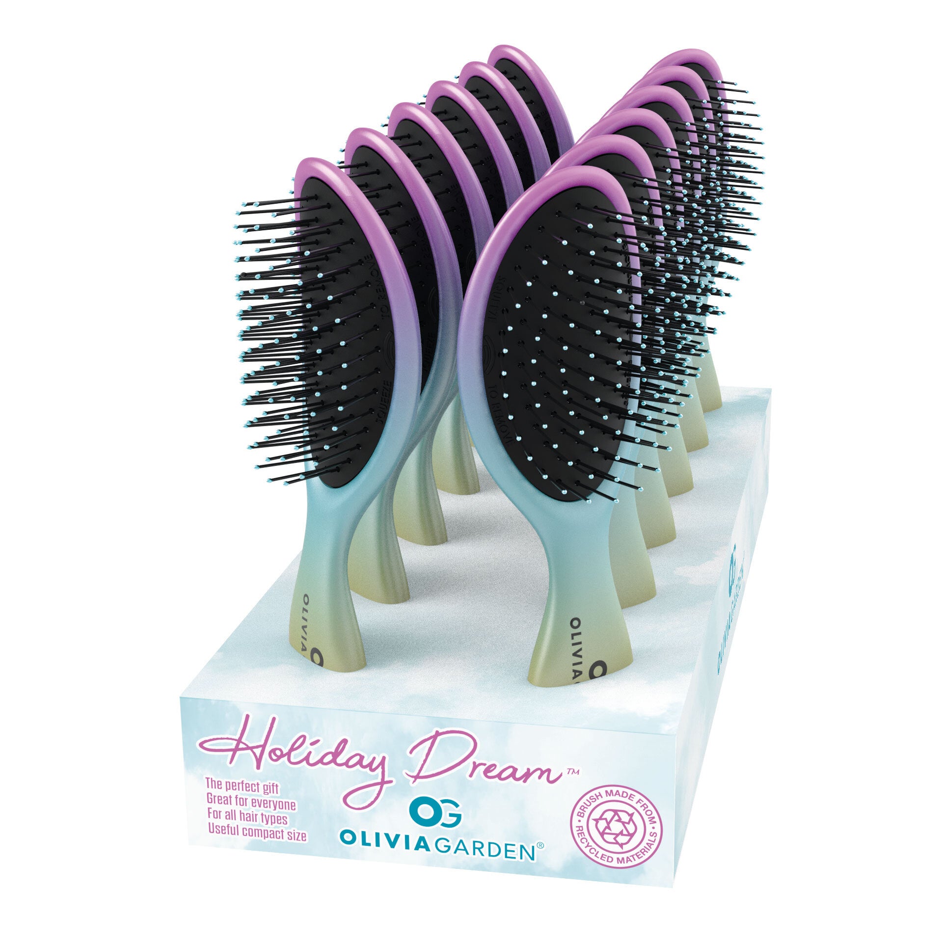 Holiday Dream Brush 12pc Display