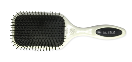 Paddle Brush
