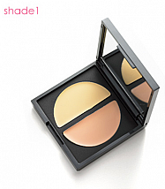Dual Concealer 1