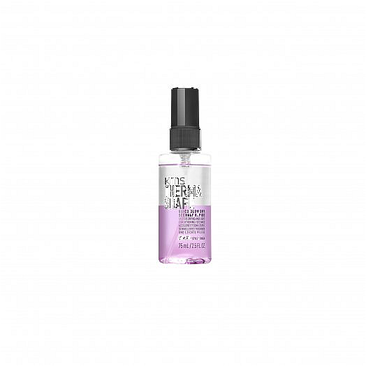 Thermashape Quick Blow Dry