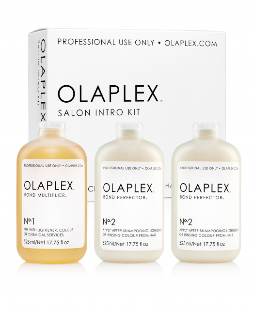 Salon Intro Kit