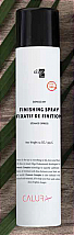 Express Dry Finishing Spray