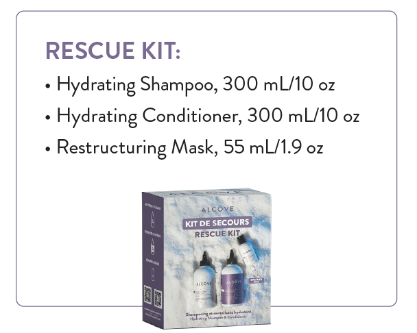 Holiday Favorites Rescue Kit