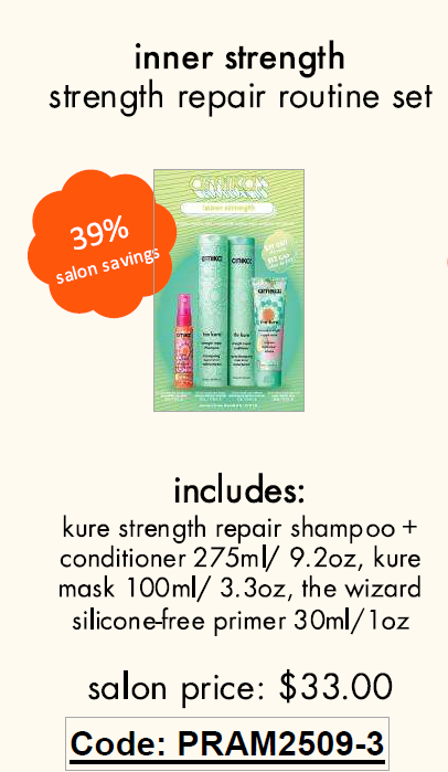 Inner Strength Repair Set