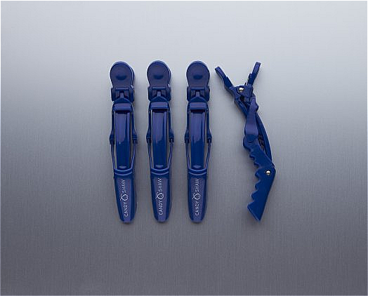 Balay Clips Pack Of 6