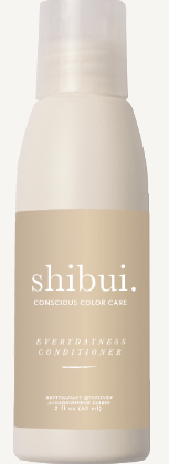 Everydayness Conditioner