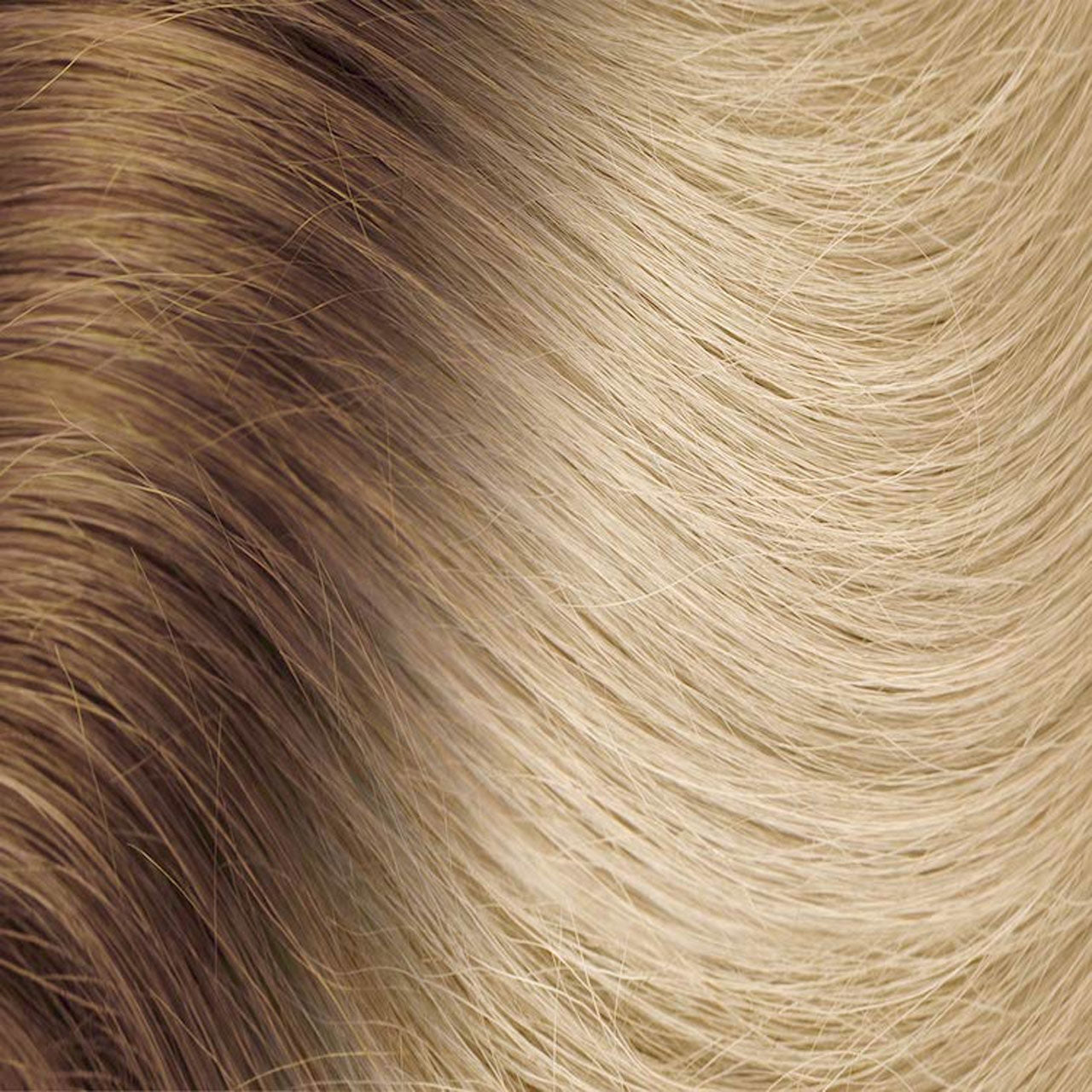 Hotheads Tape-In Extensions PREMIUM Ultimates 18-20 inch