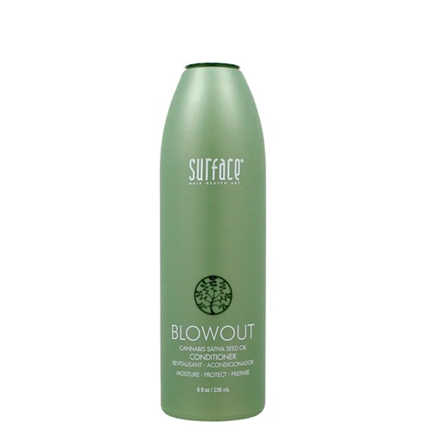 Blowout Conditioner
